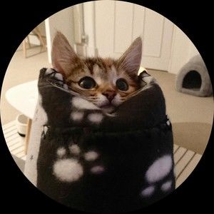 Meet your Posher, Raina